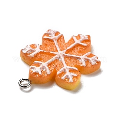 Подвески из непрозрачной смолы RESI-D055-130P