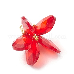 Стеклянные подвески&nbsp;PALLOY-MZ00741-05