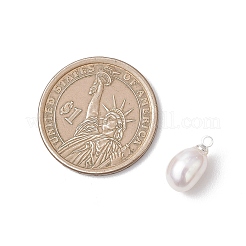 Натуральные культивированные пресноводные жемчужные рисовые подвески&nbsp;PALLOY-JF04822