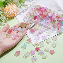 3 пакетик акриловых колпачков для бусин&nbsp;DIY-ME0001-91