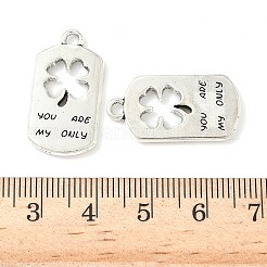 Сплавочные подвески тибетского стиля&nbsp;FIND-B050-22AS