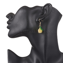 12 пара прозрачных акриловых сережек-подвесок&nbsp;EJEW-JE06558