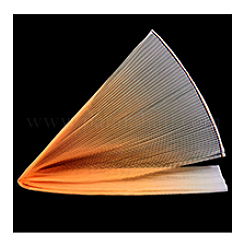 1 м плиссированная отделка из полиэстера с градиентным цветом&nbsp;DIY-WH0308-617