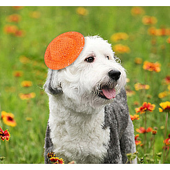 24 шт. 8-цветная мини-шляпка для куклы ручной работы из ткани DIY-DR0001-63