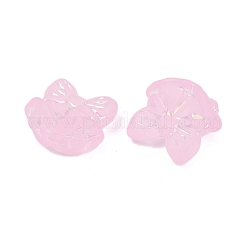 Матовые прозрачные акриловые бусины&nbsp;X1-OACR-P029-18B-01