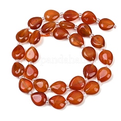 Природного сердолика нитей бисера&nbsp;G-K393-E02-10x12