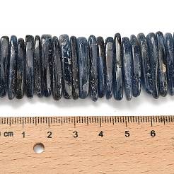 Натуральный кианитовые бисер пряди&nbsp;G-H335-F01