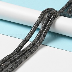 Натуральные нити бус из ларвикита G-P489-03