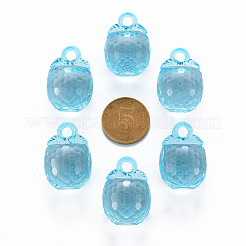 Осенняя тема прозрачные акриловые подвески&nbsp;LS-TACR-T024-04B-946