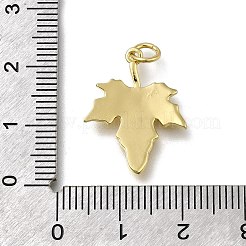 Латунные подвески&nbsp;ZIRC-I070-074G