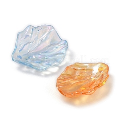 Прозрачные акриловые подвески&nbsp;TACR-A004-01