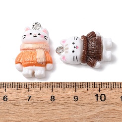 Подвески из непрозрачной смолы&nbsp;RESI-K051-01