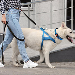 4 шт. Двойные поворотные застежки из сплава&nbsp;FIND-GO0001-81P