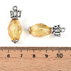 Прозрачные акриловые подвески&nbsp;SACR-N013-010A-RS