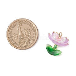 Прозрачные акриловые подвески&nbsp;PALLOY-MZ00823