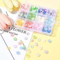 480шт 12 цвета акриловые колпачки для бусин&nbsp;OACR-FS0002-24