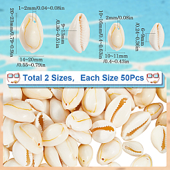 100 шт.&nbsp;BSHE-SC0001-22