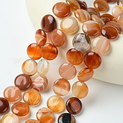 Плоские круглые драгоценный камень натуральный красный агат камень бисер пряди&nbsp;X-G-S110-03