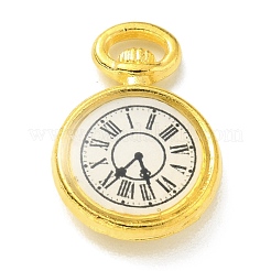 Подвески из эмали и сплава&nbsp;FIND-G020-A01-G