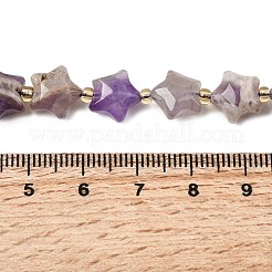 Природный аметист нитей бисера&nbsp;G-Z080-A34-10mm