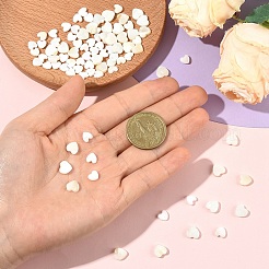 30шт натуральные пресноводные бусины из ракушек&nbsp;SHEL-YW0001-18