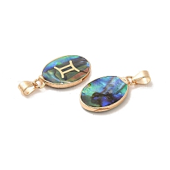 Подвески созвездия из натуральных ракушек пауа&nbsp;KK-P265-01G-10