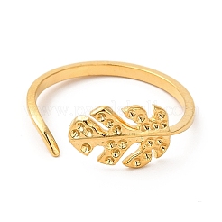 Ионное покрытие (IP) 304 нержавеющая сталь манжета настройки кольца&nbsp;STAS-L268-17G