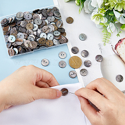 250 шт. плоские круглые пуговицы с 2 отверстиями&nbsp;SHEL-HS0001-02