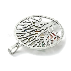 Антикварные серебряные тона сплава подвески&nbsp;PALLOY-JF02361-03