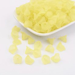 Прозрачные акриловые бусины&nbsp;PL622-C13