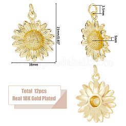 12шт латунные подвески&nbsp;KK-HS0015-35