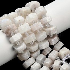 Нити бусин из натурального радужного лунного камня&nbsp;G-L642-H01-01