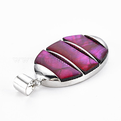 Натуральные раковины ушка / ракушка большие подвески&nbsp;SHEL-N333-009A-B02