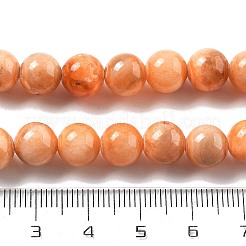 Природные персидские нефрита бисер пряди&nbsp;G-A255-A02-02J