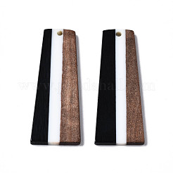 Подвески из смолы и ореха&nbsp;RESI-S389-073A-A01