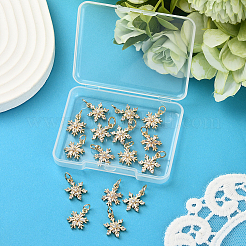 16 шт. 2 стиля латунных подвесок с микропаве из кубического циркония&nbsp;KK-SC0006-96