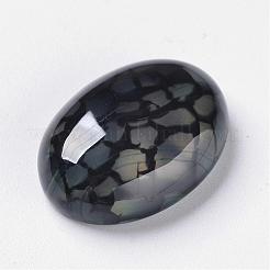 Естественный дракон вен кабошоны G-F296-04-15x20mm