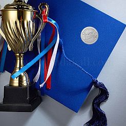 34 лист тиснёных серебряных фольгированных наклеек с изображением питомца&nbsp;DIY-WH0528-018