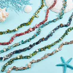 6 нити 6 цвета эрозированные ракушечные бусины нити&nbsp;BSHE-HY0001-05