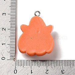 Подвески из непрозрачной смолы&nbsp;RESI-K020-04C-02