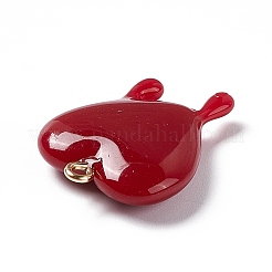 Подвески из непрозрачной смолы&nbsp;LS-RESI-F028-01A