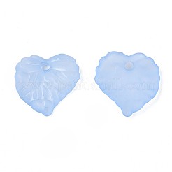 Прозрачные акриловые подвески&nbsp;TACR-S157-01D