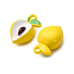 Подвески из сплава краски для выпечки&nbsp;LS-FIND-G097-04E