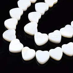 Нити бусин из натуральных пресноводных ракушек&nbsp;X-SHEL-N026-152