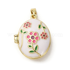 Латунь эмаль Locket подвески&nbsp;X-KK-F912-05B-G