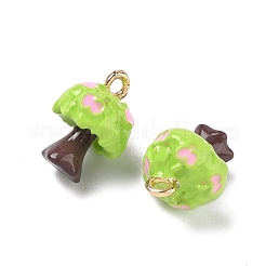 Подвески из эмали и сплава&nbsp;LS-FIND-A060-01G-02