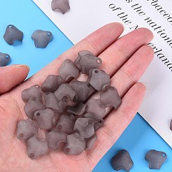 Прозрачные акриловые бусины&nbsp;X-MACR-S373-106-D02