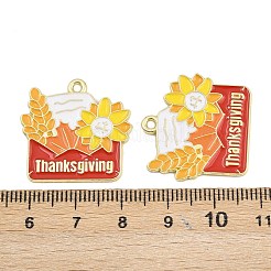 Подвески из сплава с эмалью на тему Дня благодарения&nbsp;FIND-I065-04J-G