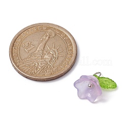 5 шт. 5 цветных стеклянных подвески «Цветок жизни»&nbsp;PALLOY-JF02301-02