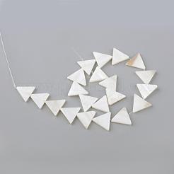 Нити бусин из натуральных пресноводных ракушек SHEL-Q008-40